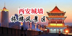 视频逼逼p中国陕西-西安城墙旅游风景区